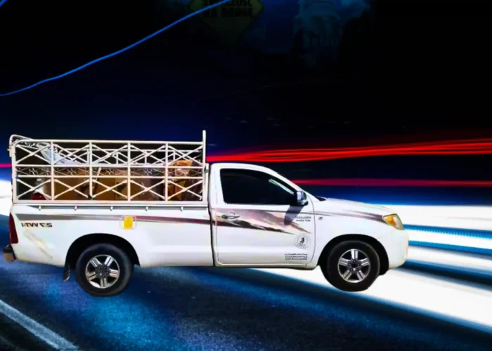 1 Ton Pickup Cargo Space | What Actually Fits in the Load Area.