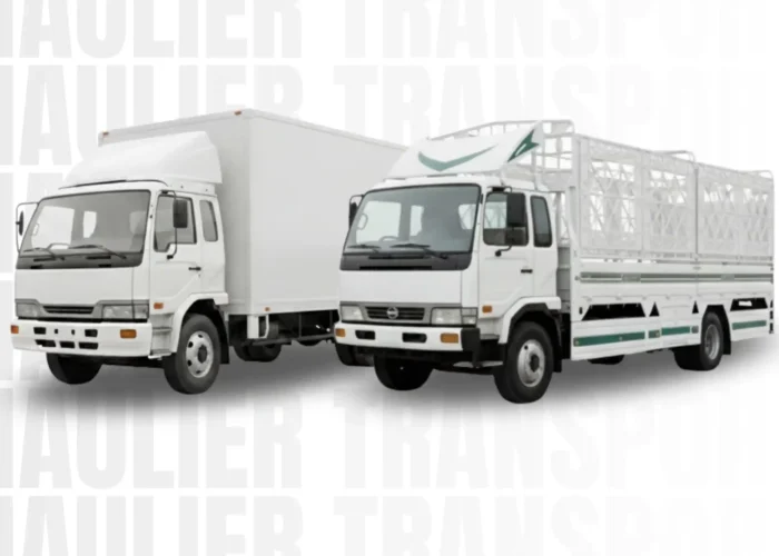 What Can a 7-Ton Truck Carry Dubai? Cargo Types, Capacity and Business Uses