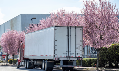 Flower Cold Transport