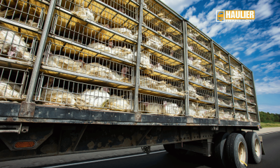Poultry & Meat Cold Transport